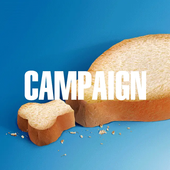 campaign